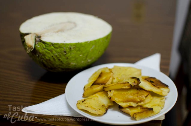Bread tree, or Guapén, (Artocarpus altilis), and fries maded with the fruit meat /  Fruto del Árbol del Pan o Guapén, (Artocarpus altilis) y tostones preparados con la masa de la fruta.