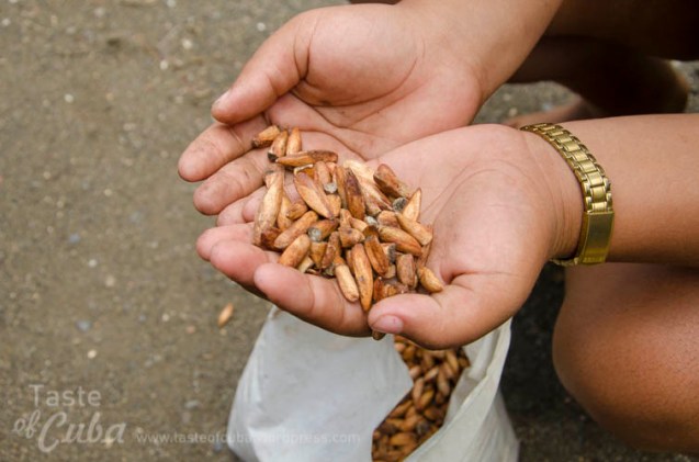 Alain L. Gutiérrez Almeida