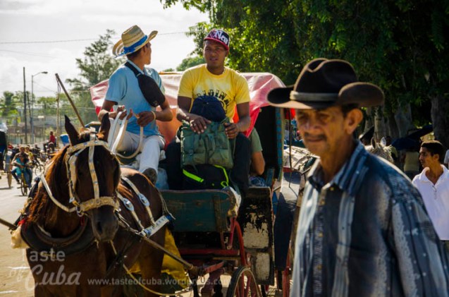 The coach or carriage is a symbol of the city / El coche es un símbolo de la ciudad 