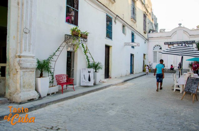 Alain L. Gutiérrez Almeida